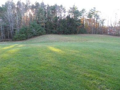 Yard/Garden.