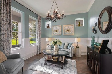 5915 Circa Fishhawk Blvd, Lithia, FL 33547 - photo 4