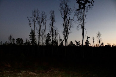 0 Brushy Creek Rd unit LotWP006 22148687, Columbia, MS 39429 - photo 2