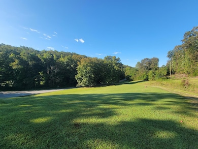 2285 Euchee Chapel Rd, Spring City, TN 37381 - photo 3