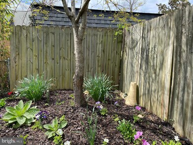 6728 Swarthmore Dr, Alexandria, VA 22307 - photo 3