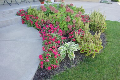 October photo before cut down