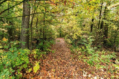 Excellent hunting land!