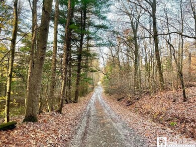 Road to cabin