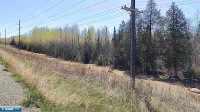TBD Hwy 115, Tower, MN 55790 - photo 2