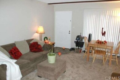 Living Room with New Carpet