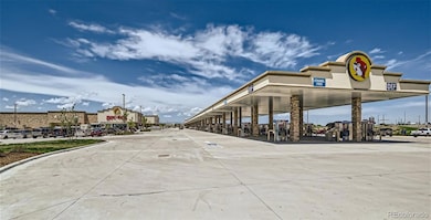 260 Kobe Ln, Loveland, CO 80534 - photo 4