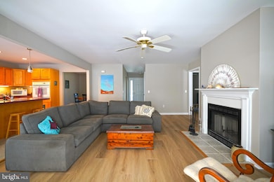 29 Blackpool Rd, Rehoboth Beach, DE 19971 - photo 7