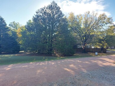 TBD Mano Ln, Sadler, TX 76264 - photo 6