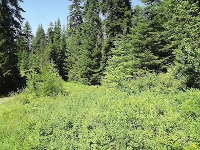 TBD State Highway 11, Pierce, ID 83546 - photo 7