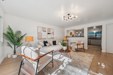 5242 Miles Ave unit C, Oakland, CA 94618 - photo 6