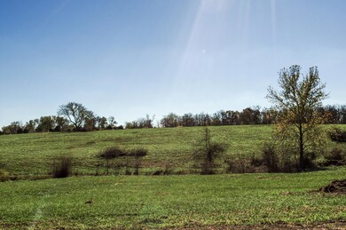 DSC_0017 (1)