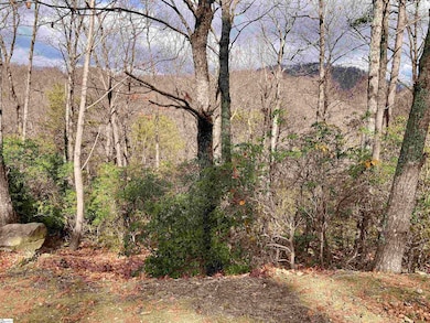 901 Mountain Summit Rd, Travelers Rest, SC 29690 - photo 2