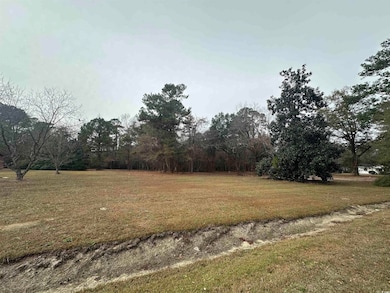 2883 E Highway 19, Conway, SC 29526 - photo 6