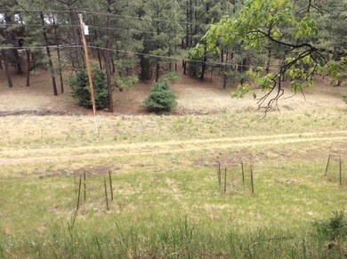 20 Little John, Mayhill, NM 88339 - photo 2