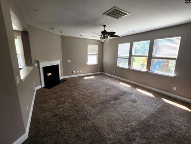 213 Indigo Springs Dr, Columbia, SC 29229 - photo 6