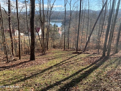 0 Mountain Shores Rd, New Tazewell, TN 37825 - photo 6