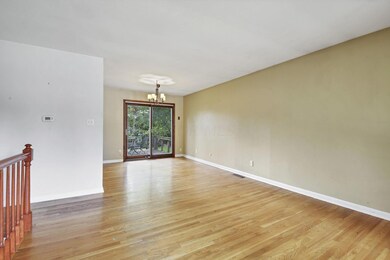 4-web-or-mls-5D9A7623