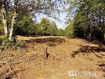 9598 Dupree Dr, Blaine, WA 98230 - photo 2