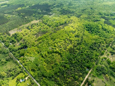 0 S Deer Lake Rd, Reed City, MI 49677 - photo 5