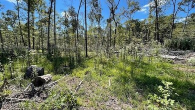 00 Harts Bridge Rd, Jackson, TN 38301 - photo 4