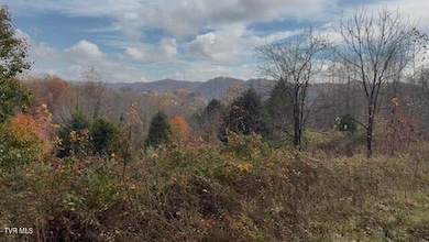 1030 N Paperville Rd, Bristol, TN 37620 - photo 2