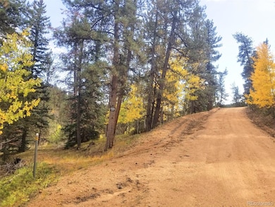 342 & 366 Brown Rd unit 70,71,72,73, Bailey, CO 80421 - photo 3