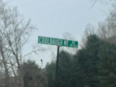 0 Coolbaugh Mountain Rd, Exeter Township, PA 18615 - photo 2