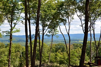 unlisted-address, Egremont, MA 12529 - photo 6