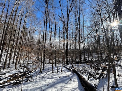 0 Stone Chimneys Rd unit 661050, Nellysford, VA 22958 - photo 3