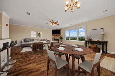 224 Maggie MacK Ln unit 201, Sevierville, TN 37862 - photo 6