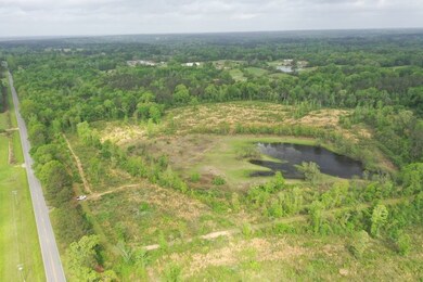 0 Hwy 438 Hwy unit LotWP001 23134119, Angie, LA 70426 - photo 6