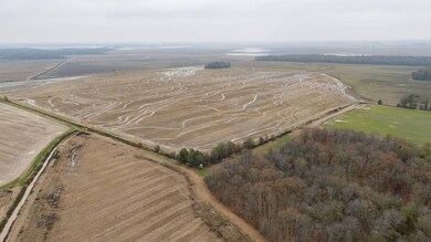 1 Mopac Rd, Brinkley, AR 72021 - photo 5