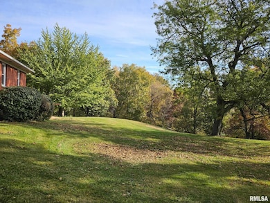 3881 Highway 61, Blue Grass, IA 52726 - photo 5