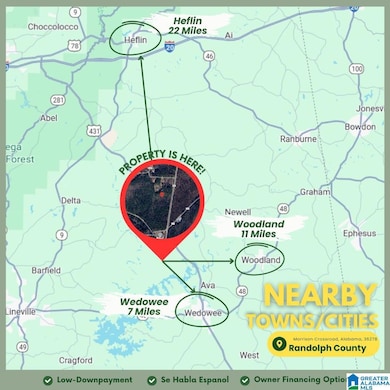 Tract  3A County Road 329, Wedowee, AL 36278 - photo 7