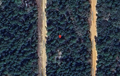 0 Michael Ave unit 25580690, Interlachen, FL 32148 - photo 7