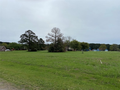 45 Meadowview Dr, Westwood Shores, TX 75862 - photo 2