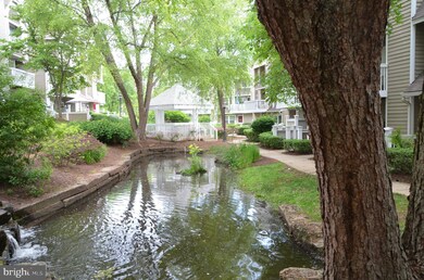 5700 Chapman Mill Dr unit 400, Rockville, MD 20852 - photo 5