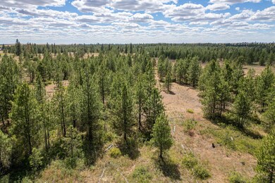 Lot 5 Prairie Ln N, Creston, WA 99117 - photo 6