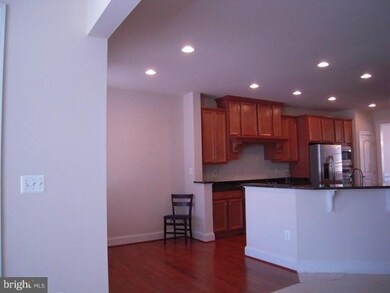 25078 Balcombe Terrace, Chantilly, VA 20152 - photo 6