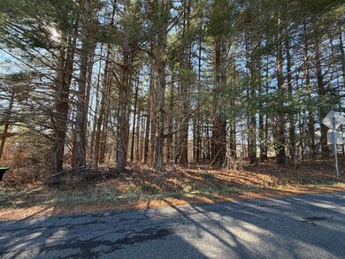 4306 Keno Rd, Laurel Fork, VA 24352 - photo 4