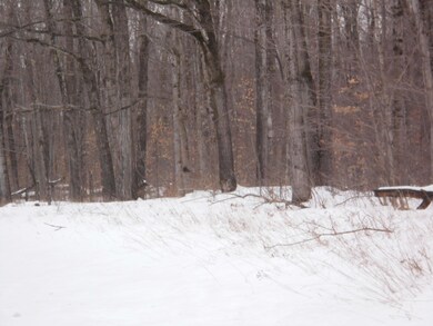 ACREAGE ON CUT RIVER ROAD