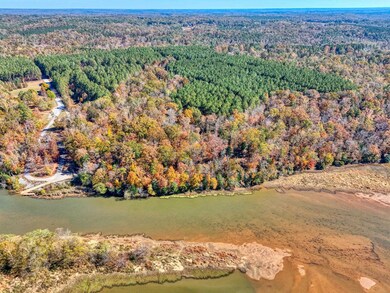 1073 Boyds Mill Pond Rd, Laurens, SC 29360 - photo 5