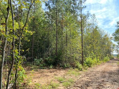 18.62 Ac Squirrell Hollow Rd, Alberta, VA 23821 - photo 7