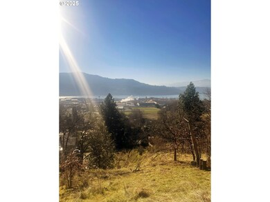 105 Lois Ln, Bingen, WA 98605 - photo 2