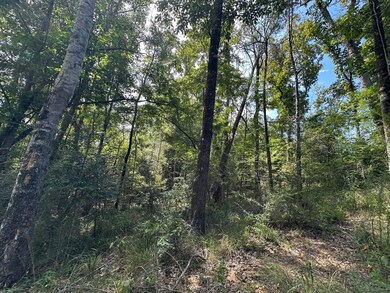 + - 130 Acres unit Simpson County MS, New Hebron, MS 39149 - photo 4