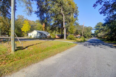 1438 Joy Ave, Charleston, SC 29407 - photo 6