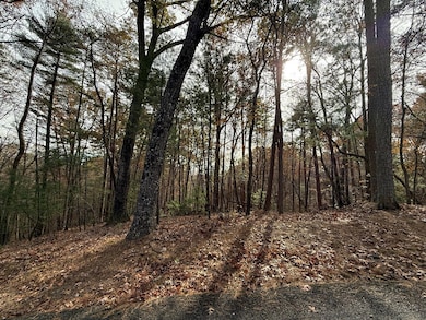 12 N Ridge Dr, Ellijay, GA 30540 - photo 3