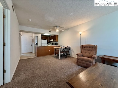 Kingswood Condominiums unit 50, Boone, NC 28607 - photo 7