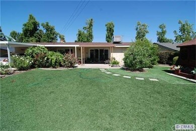 Low Maintenance Backyard